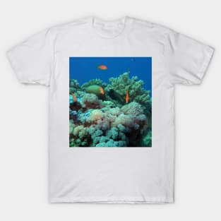 Red Sea Coral Reef T-Shirt